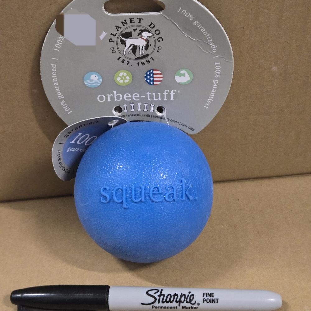 Orbee Squeak Ball Dog Toy